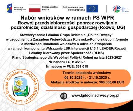 Ogłoszenie o naborze rozwój 3_2025