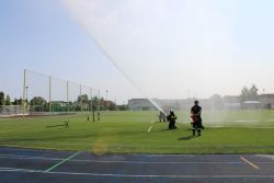 IMG_1002